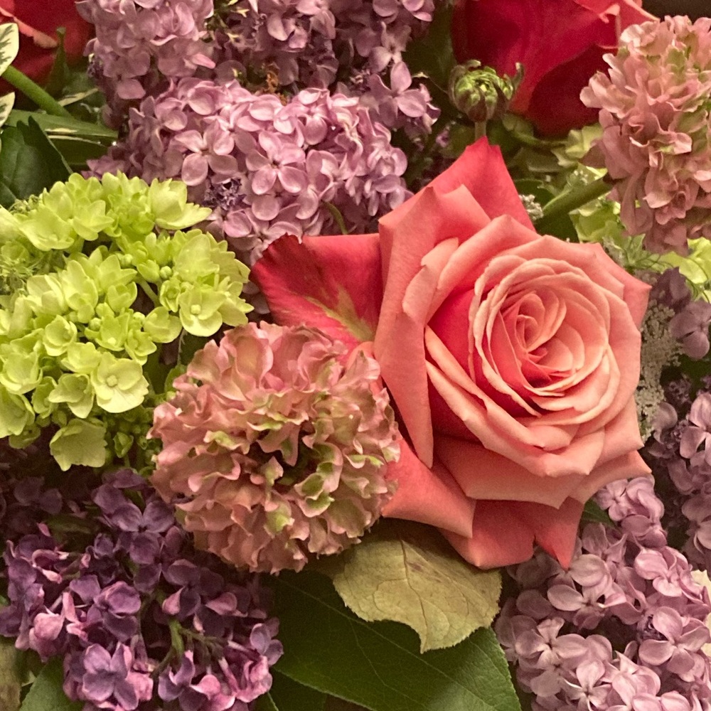 Meet your Posher, Susan